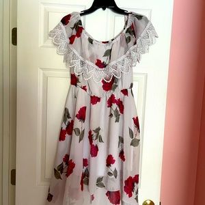 Miley & Molly Romantic Rose & Lace Dress